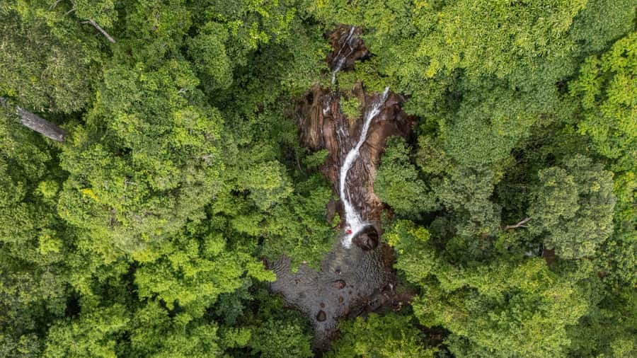 Khao Lak: Elephant Camp, Bamboo Rafting, and Waterfall Tour - Final Thoughts: Who Will Love This Tour?