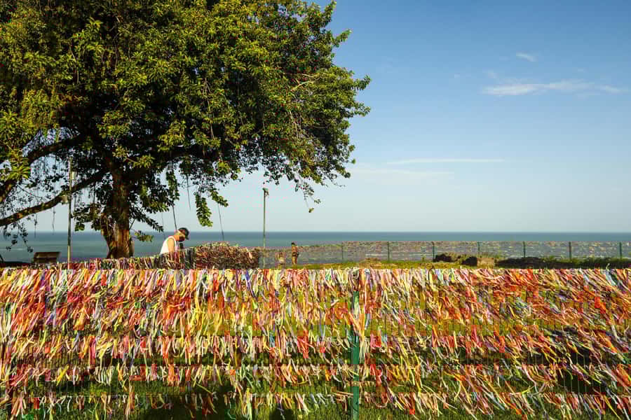 Porto Seguro: Private City Tour Coroa Vermelha Beach - Practical Tips for a Smooth Experience