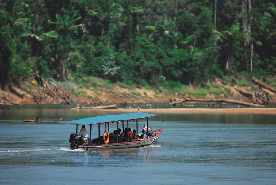 Cusco: Manu National Park Tour with Accommodation - Discover the Wonders of Manu National Park from Cusco
