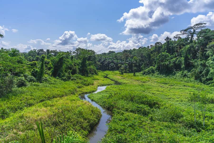 Cusco: Manu National Park Tour with Accommodation - A Deep Dive into the Manu National Park Experience