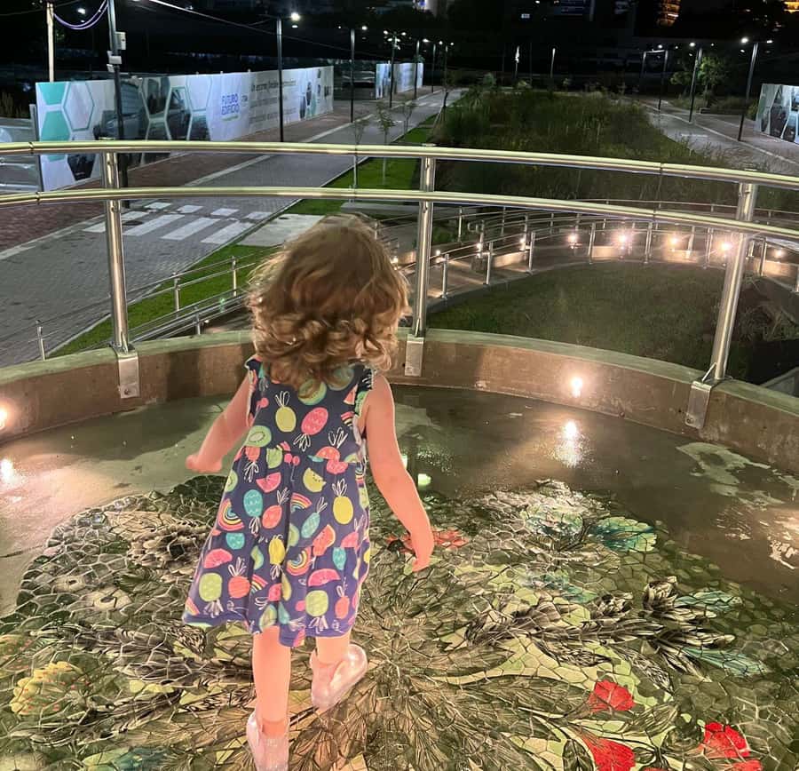 BUENOS AIRES: CITY LIGHTS BY NIGHT TOUR + 1 Drink at RoofTop Palermo - A Closer Look at the Buenos Aires Night Tour