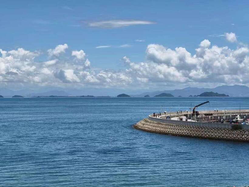 Shenzhen: Dapeng Peninsula Day Tour with Hotel Pickup - The Value of This Tour