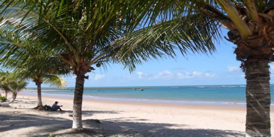 Salvador: Praia Do Forte and Guarajuba Beach Day Trip - FAQs