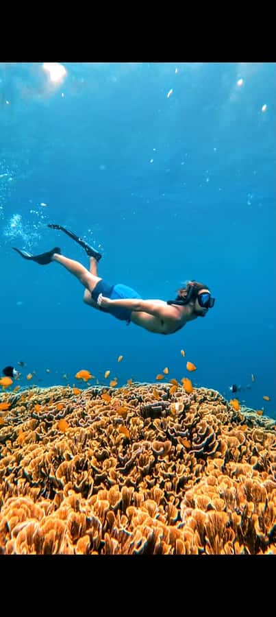 3 Islands Snorkeling with Glass Bottom Boat & GOPRO SHOOT - The Sum Up