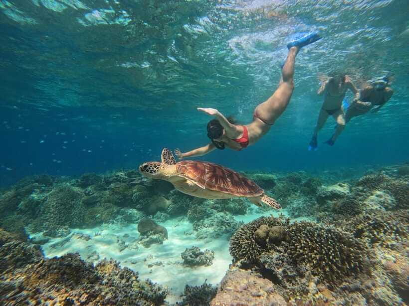 3 Islands Snorkeling with Glass Bottom Boat & GOPRO SHOOT - Who Is This Tour Best For?