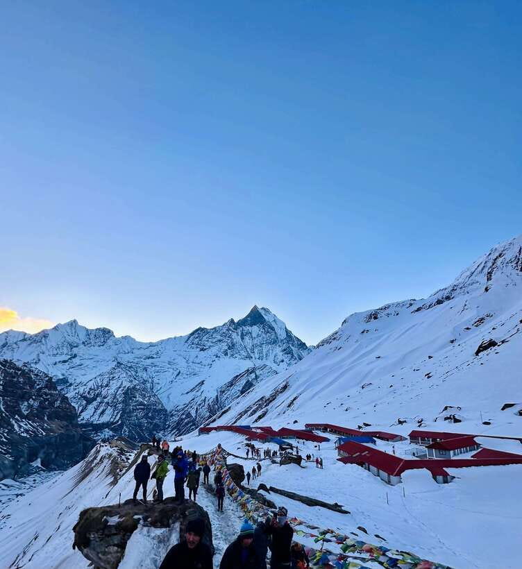 Pokhara: Annapurna Base Camp Trek & Wildlife Safari Tour - What’s Not to Miss