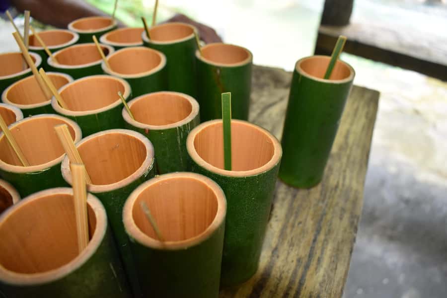 Full day Jungle trekking with Tubing adventure - Practical Details and Why They Matter