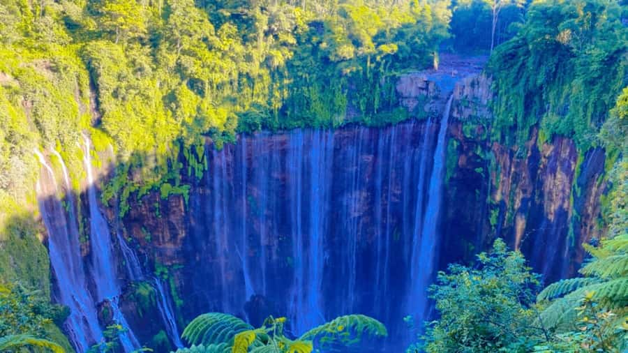 Surabaya/Malang: 3-Day Tumpak Sewu Bromo Ijen Volcano Tour - Transportation & Logistics