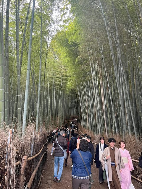 Kyoto: The Heart of Arashiyama, Bamboo Forests and Sacred Temples - Good To Know