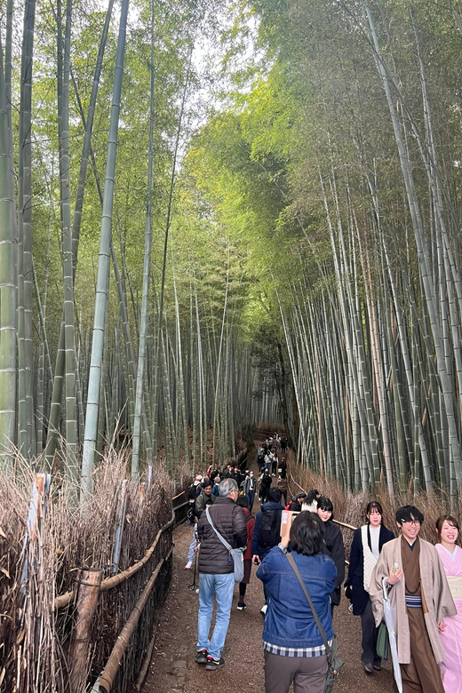 Kyoto: The Heart of Arashiyama, Bamboo Forests and Sacred Temples - Transportation & Practical Details