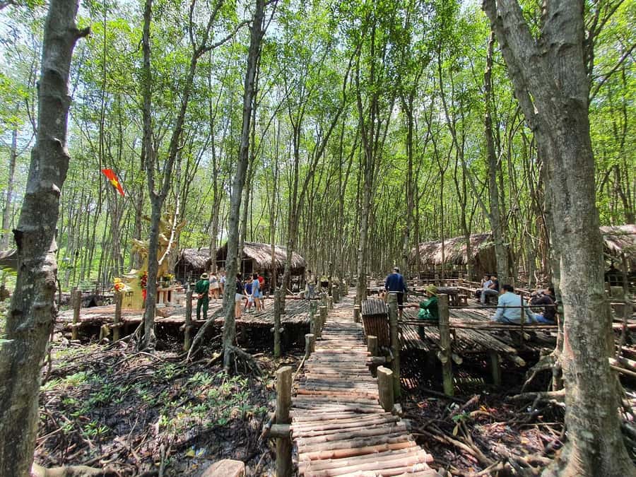 Can Gio: Monkey Island, Guerilla Camp, Mangrove Forest - The Realities and Some Caveats