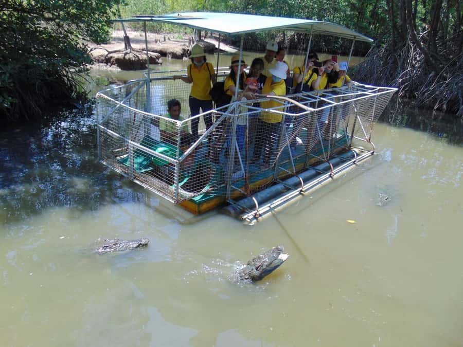 Can Gio: Monkey Island, Guerilla Camp, Mangrove Forest - The Sum Up