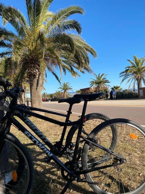 Free Delivery - 6 Hours Bike Castello/Molentargius/Poetto/Quartu - Service Overview and Pricing