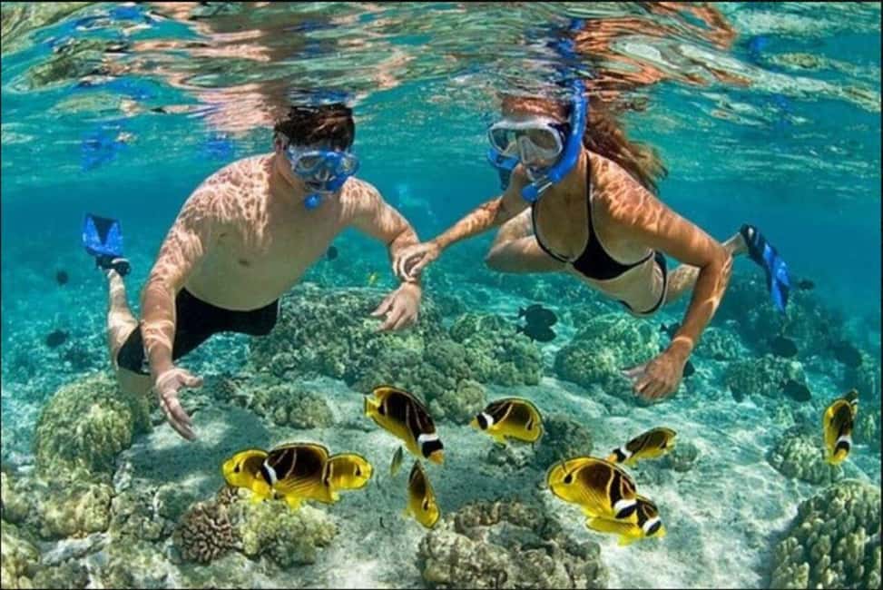 Speedboat Adventure and Snorkeling from Punta Cana - A Closer Look at the Tour Experience