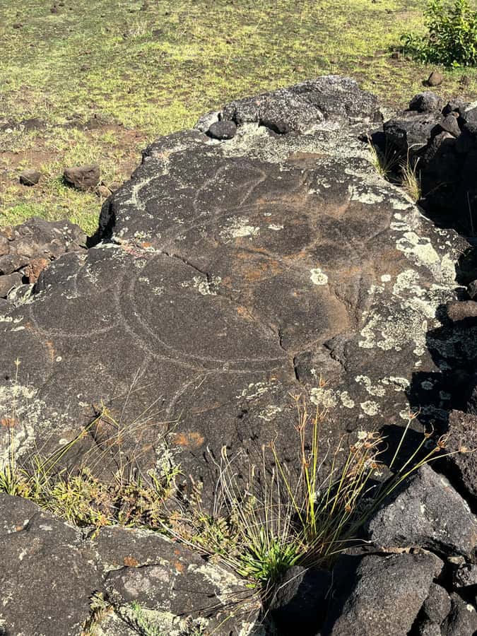 Adventures in Rapa Nui: High quality tourism with Easter Island Your Tour. - Practical Considerations and Tips