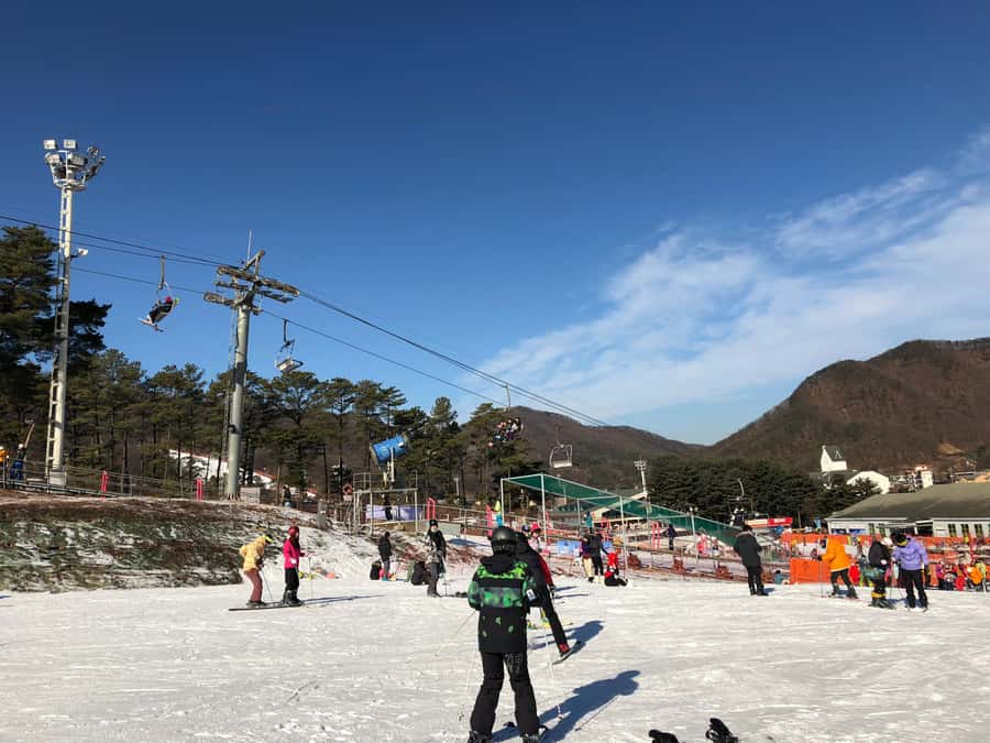 Seoul: Jisan Forest Ski Resort and Everland 1 Day Tour - Transition to Everland — A World of Excitement