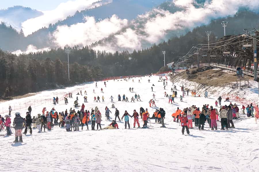 Seoul: Jisan Forest Ski Resort and Everland 1 Day Tour - FAQ
