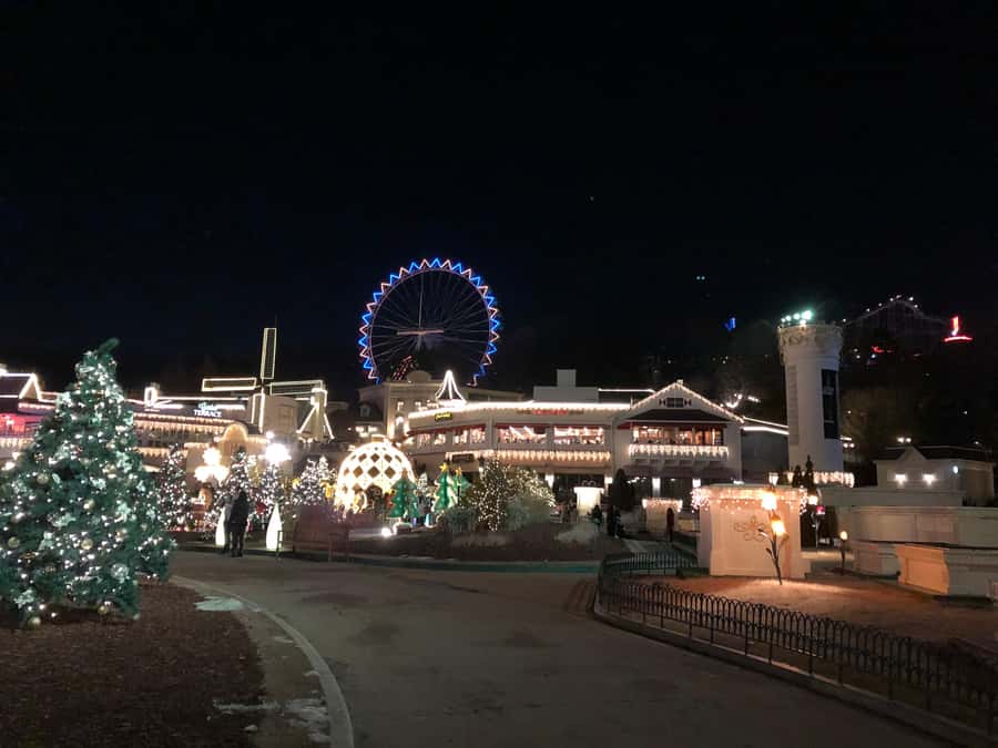 Seoul: Jisan Forest Ski Resort and Everland 1 Day Tour - Who Will Love This Tour?