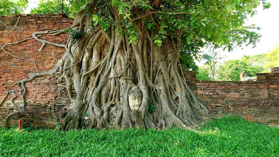 From Bangkok: Ayutthaya 2 Days 1 Night Heritage Escape - What Makes This Tour Stand Out?  