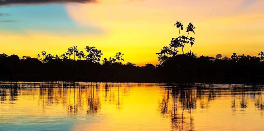 Pacaya Samiria 4-Day Tour - A Deep Dive into the Pacaya Samiria 4-Day Tour