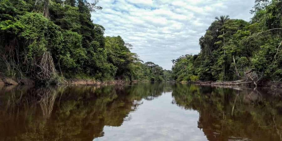 Pacaya Samiria 4-Day Tour - Transport and Logistics