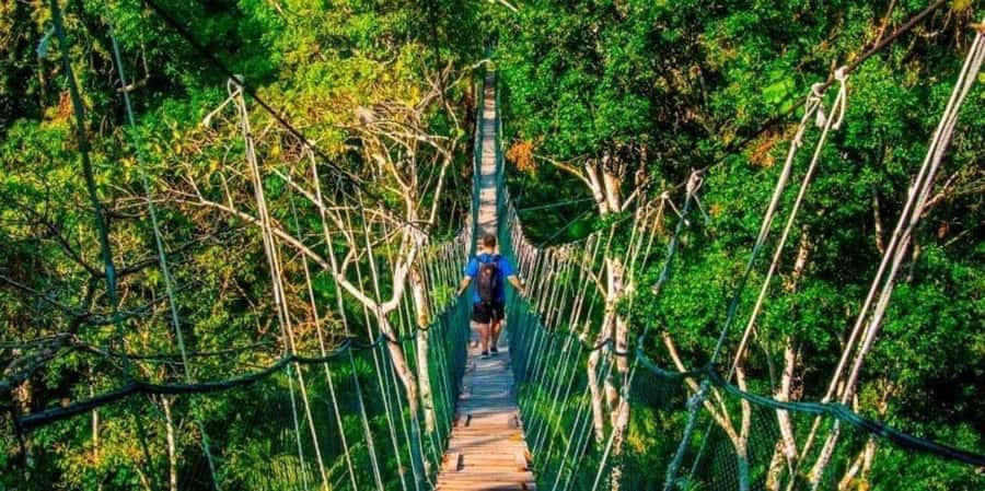 TAMBOPATA NATIONAL RESERVE 2 DAYS ADVENTURE - An In-Depth Look at the Tambopata 2-Day Adventure