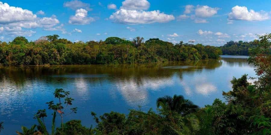 TAMBOPATA NATIONAL RESERVE 2 DAYS ADVENTURE - Key Points
