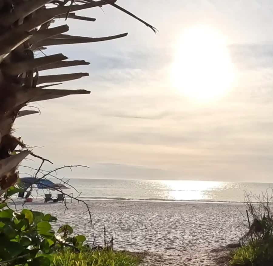 Punta Gorda: Gulf Coast Sunset Boat Tour - Key Points