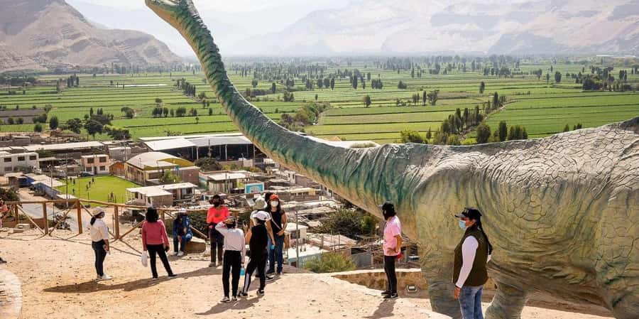 Arequipa:Dead Bull Petroglyphs, Querulpa Park and Chancharay - Exploring the Majes Valley from Arequipa
