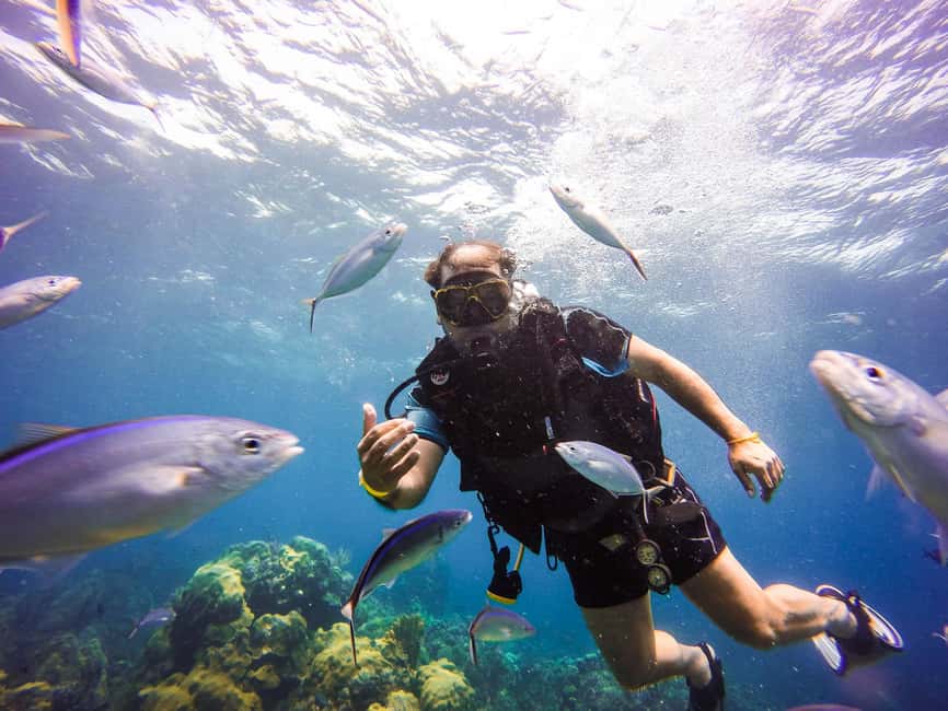 Punta Cana: Scuba Diving Adventure to Catalina Island - Who Should Consider This Tour?