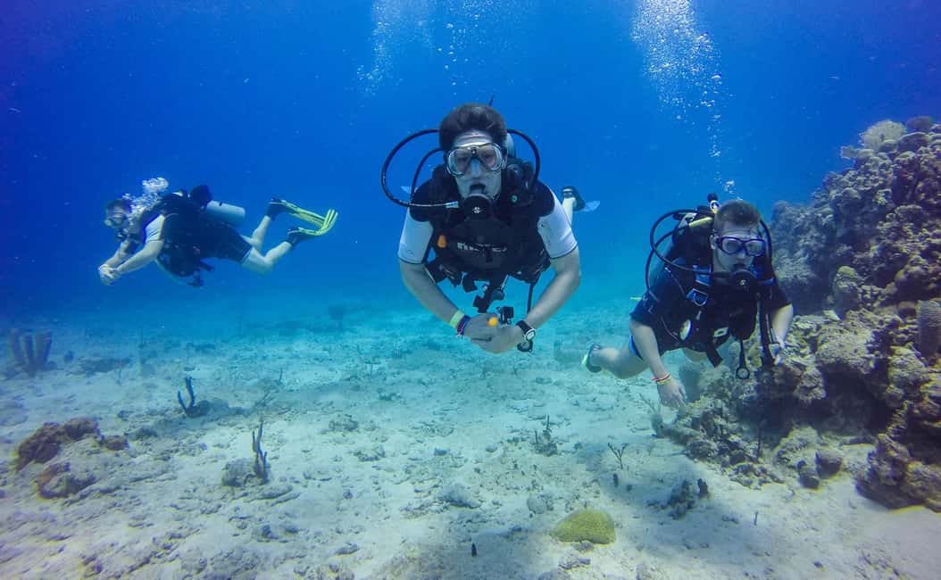 Punta Cana: Scuba Diving Adventure to Catalina Island - Key Points