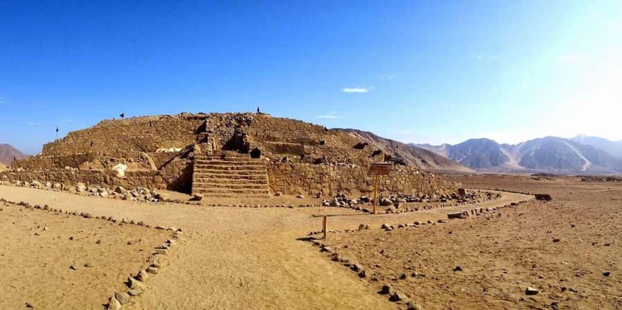 Caral & Bandurria Day Trip - Why This Tour Offers Great Value