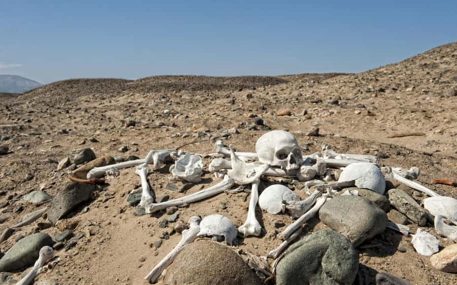 From Nazca || Excursion to the Chauchilla cemetery || - FAQ