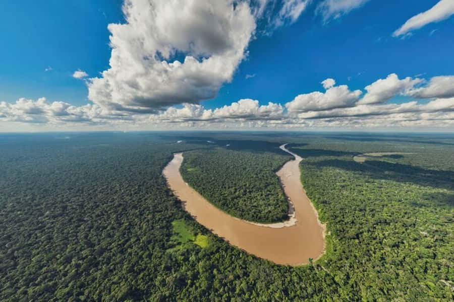 Tambopata: Sandoval Lake and Parrot Lick 3 Days - Possible Drawbacks and Considerations