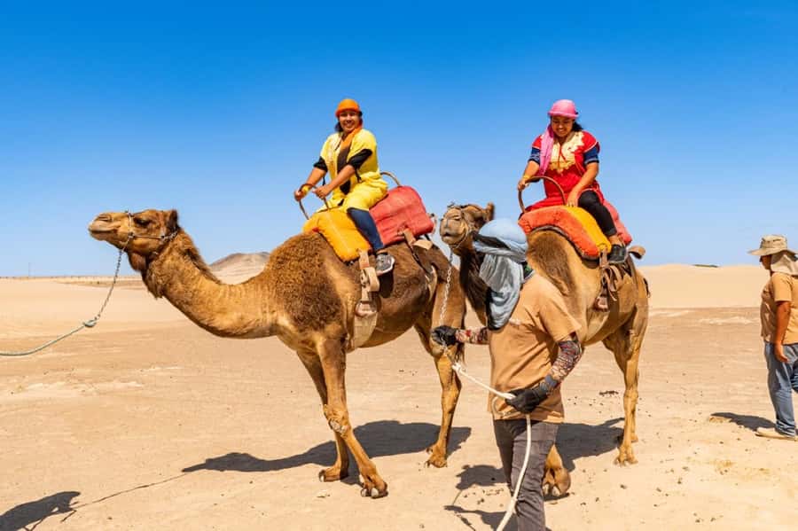 Ica: Camel ride + Swimming pool - Exploring the Ica Camel Ride and Pool Experience