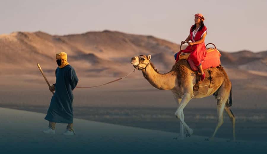 Ica: Camel ride + Swimming pool - Key Points