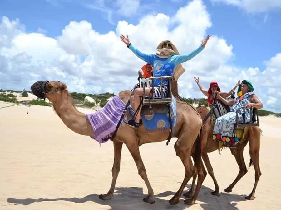 Ica: Camel ride + Swimming pool - Authenticity and Value