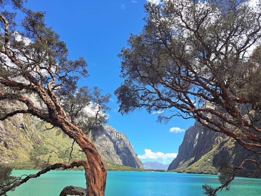 Huaraz: Full Day Laguna Llanganuco + Yungay + Carhuaz - Who Should Consider This Tour?