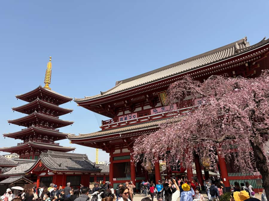 Tokyo: Private Customizable Tour by Car with Local Guide - Why Choose a Private, Customizable Tour?  