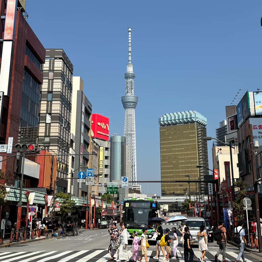 Tokyo: Private Customizable Tour by Car with Local Guide - Good To Know  