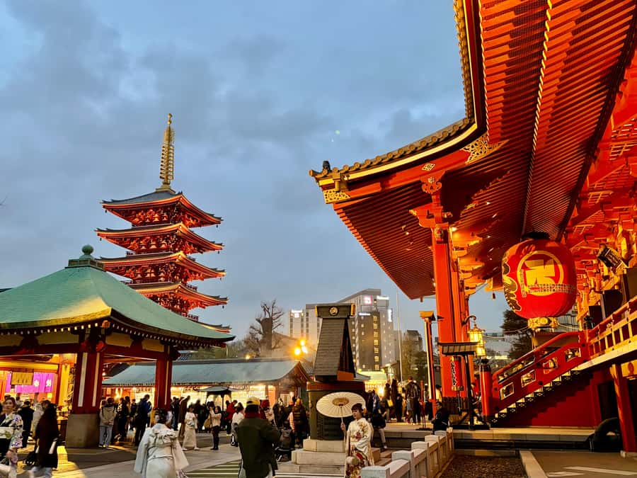 Tokyo: Private Customizable Tour by Car with Local Guide - The Sum Up  