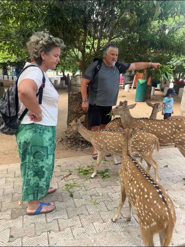 Trincomalee: Tuk-Tuk city tour with a guide - Starting Point and Transportation