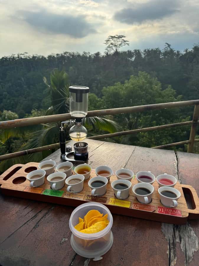 Ubud: ATV Ride, Holy water Temple, and Coffee Tasting - Ubud: ATV Ride, Holy Water Temple, and Coffee Tasting — A Practical Guide