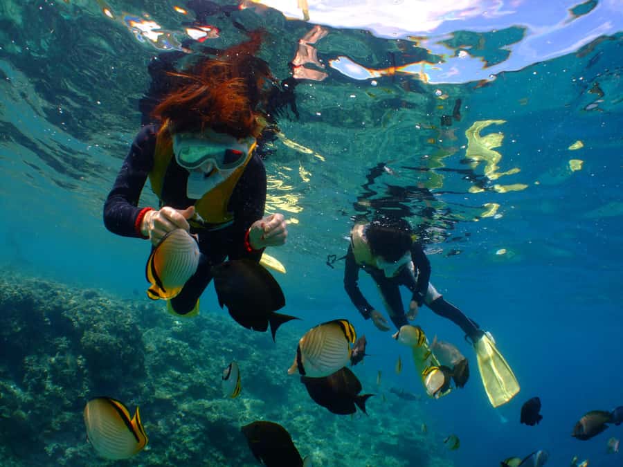 Chatan: FullDay Snorkeling in Kerama National Park - What Makes This Tour Stand Out?