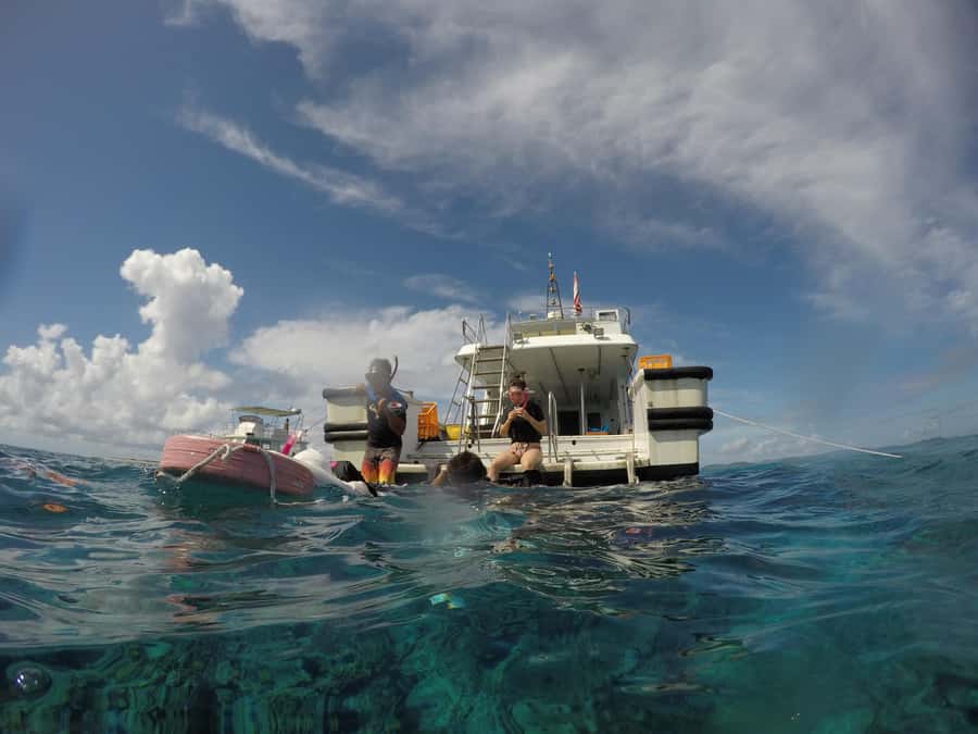 Chatan: FullDay Snorkeling in Kerama National Park - Good To Know: