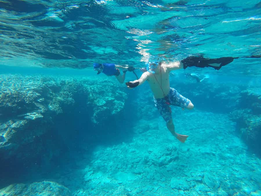 Chatan: FullDay Snorkeling in Kerama National Park - FAQ