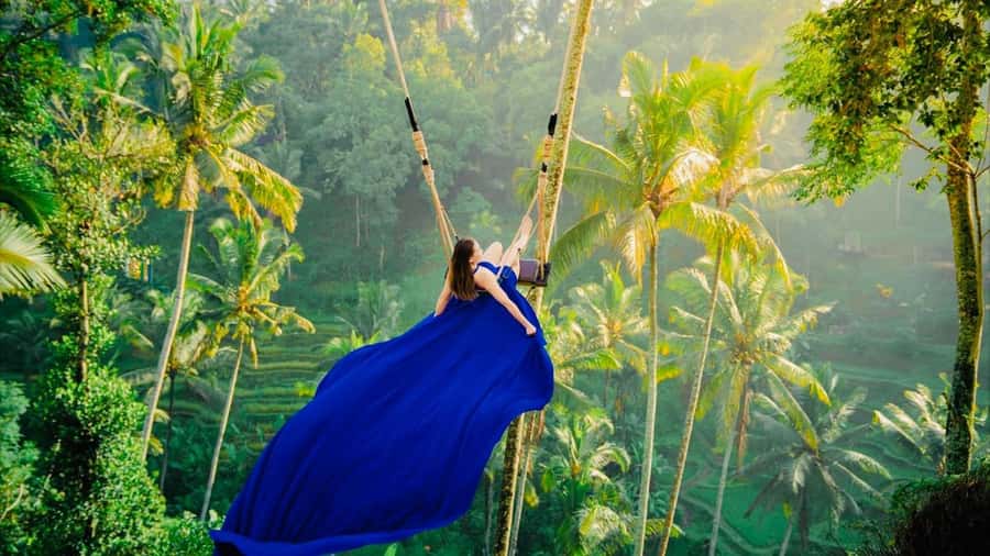Ubud: Water Temple, Rice Terrace, Waterfall, Private Tour - What We Love About This Tour
