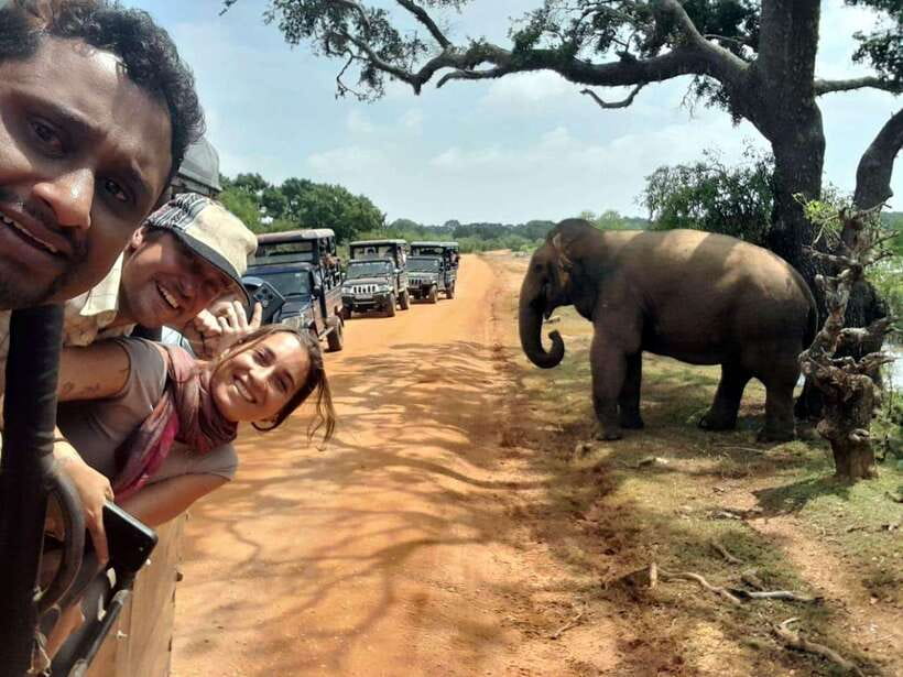From Ella: Yala National Park safari & drop to Ella again - The Sum Up