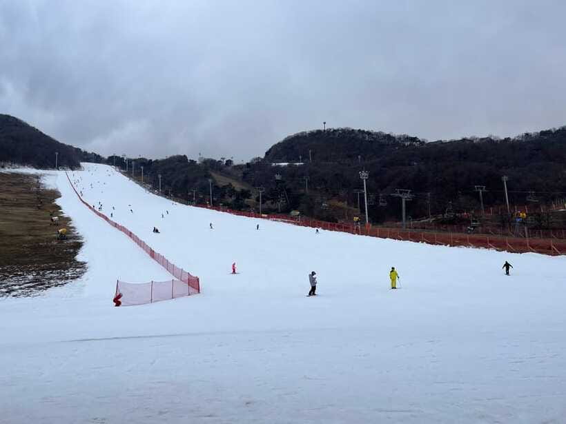 From Seoul: Jisan Forest Ski Resort One Day Tour - Authentic Experiences and Reviewer Insights