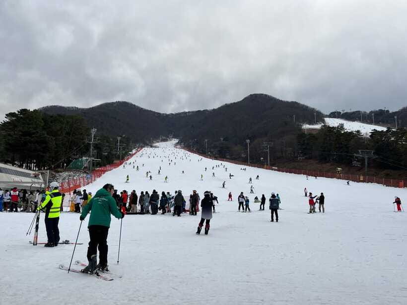 From Seoul: Jisan Forest Ski Resort One Day Tour - Value and Pricing